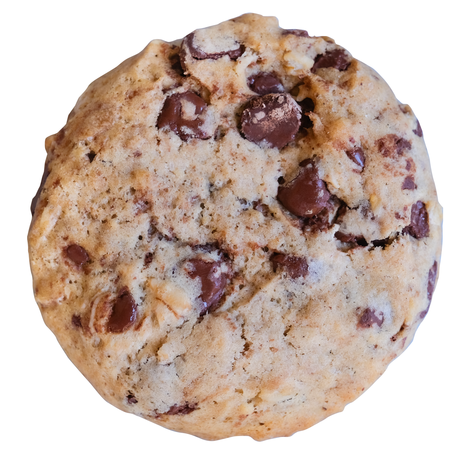 クッキー　1001 Dark Chocolate Oatmeal (Vegan) – The Famous 4th Street Cookie Company