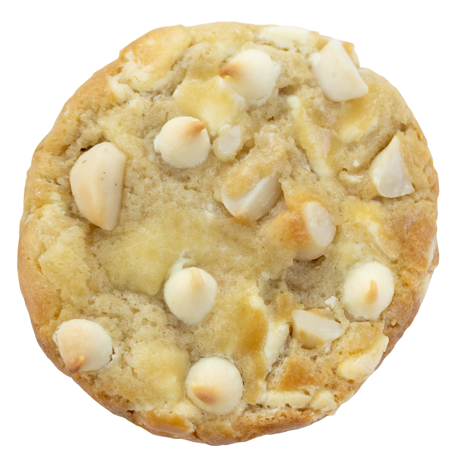 White Chocolate Macadamia Nut – The Famous 4th Street Cookie Company White Chocolate Macadamia Nut – The Famous 4th Street Cookie Company