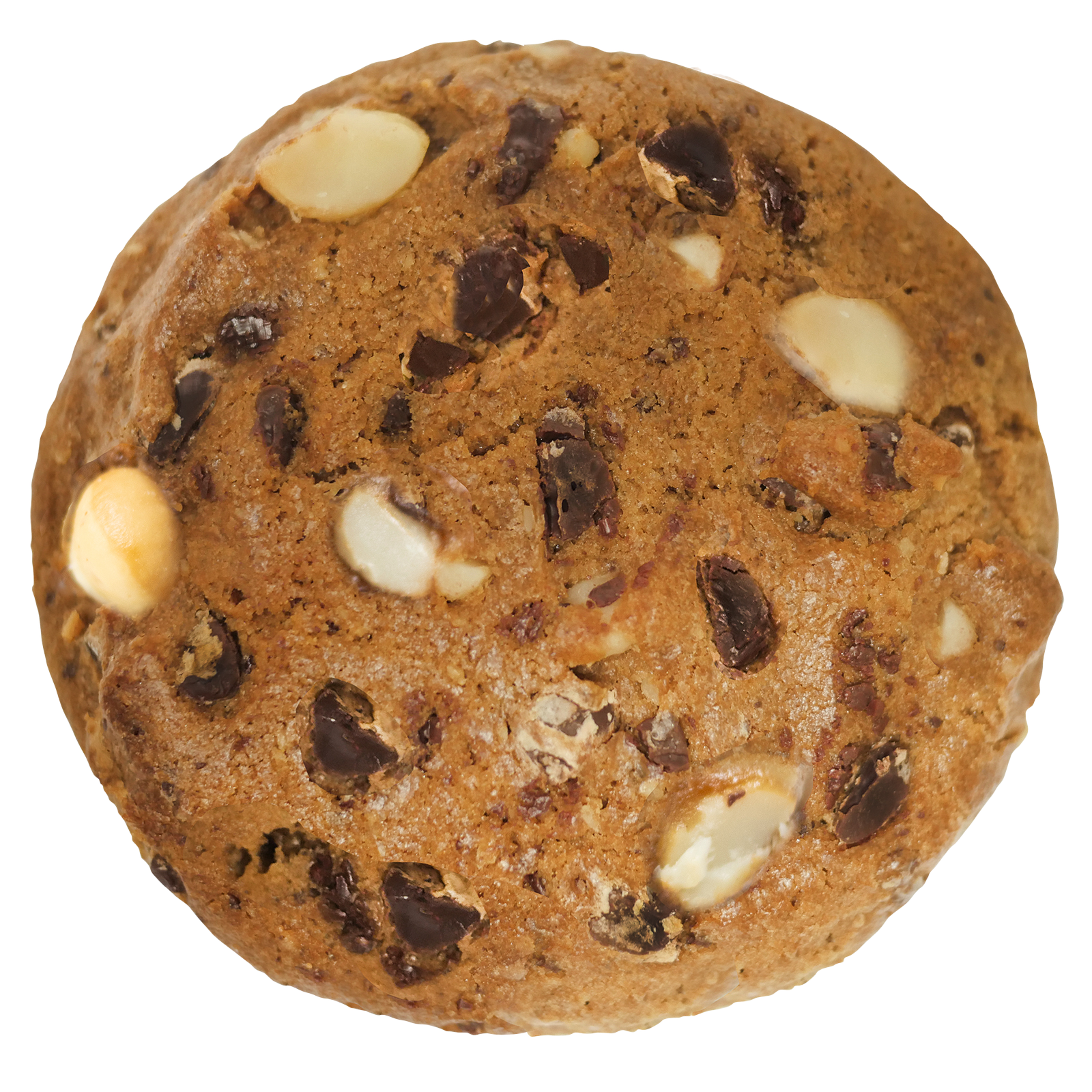 Chocolate Macadamia Nut – The Famous 4th Street Cookie Company Chocolate Macadamia Nut – The Famous 4th Street Cookie Company