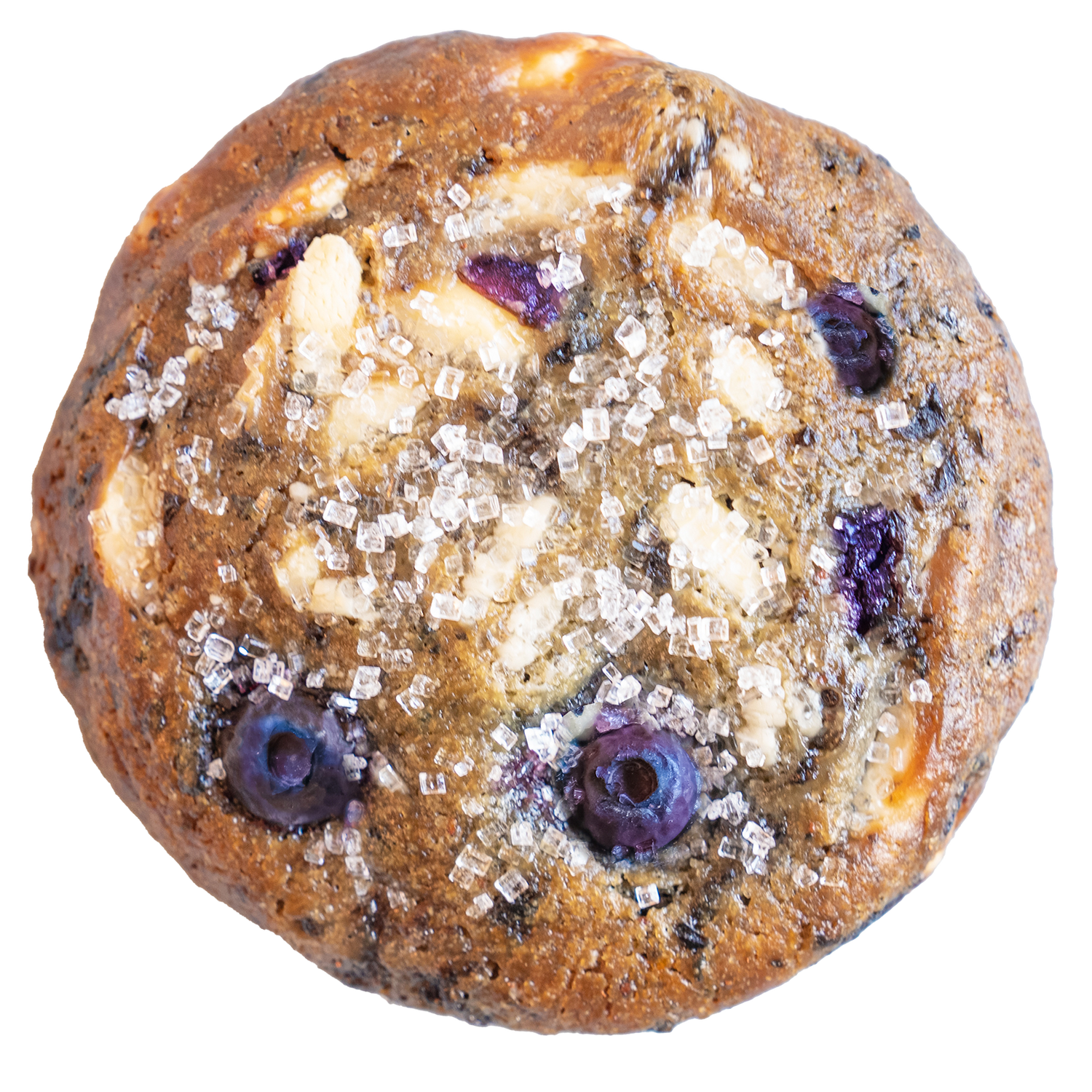 Blueberry Muffin