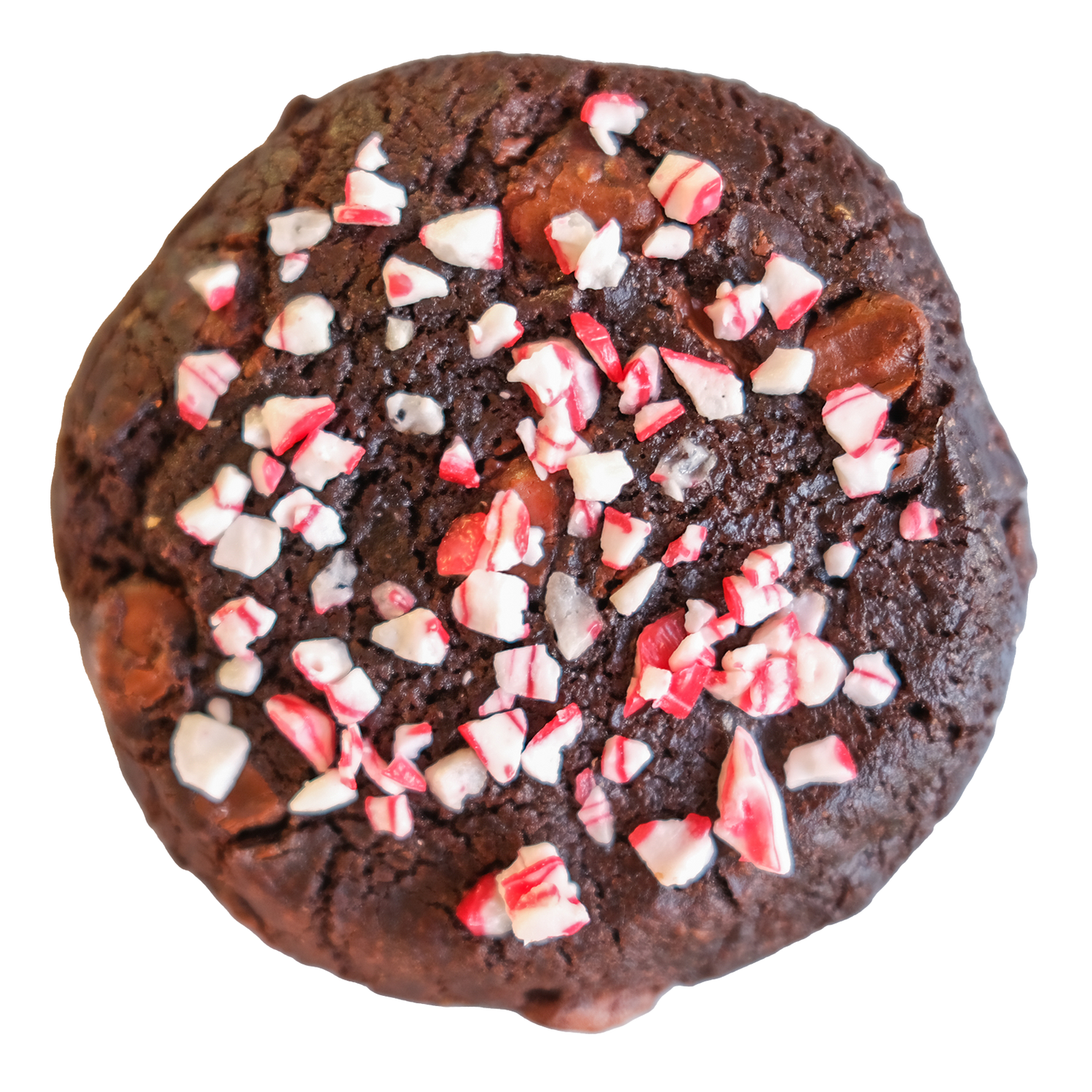 Double Dark Candy Cane