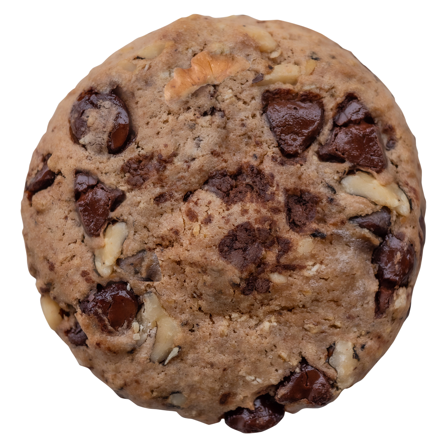 Chocolate Chip Walnut