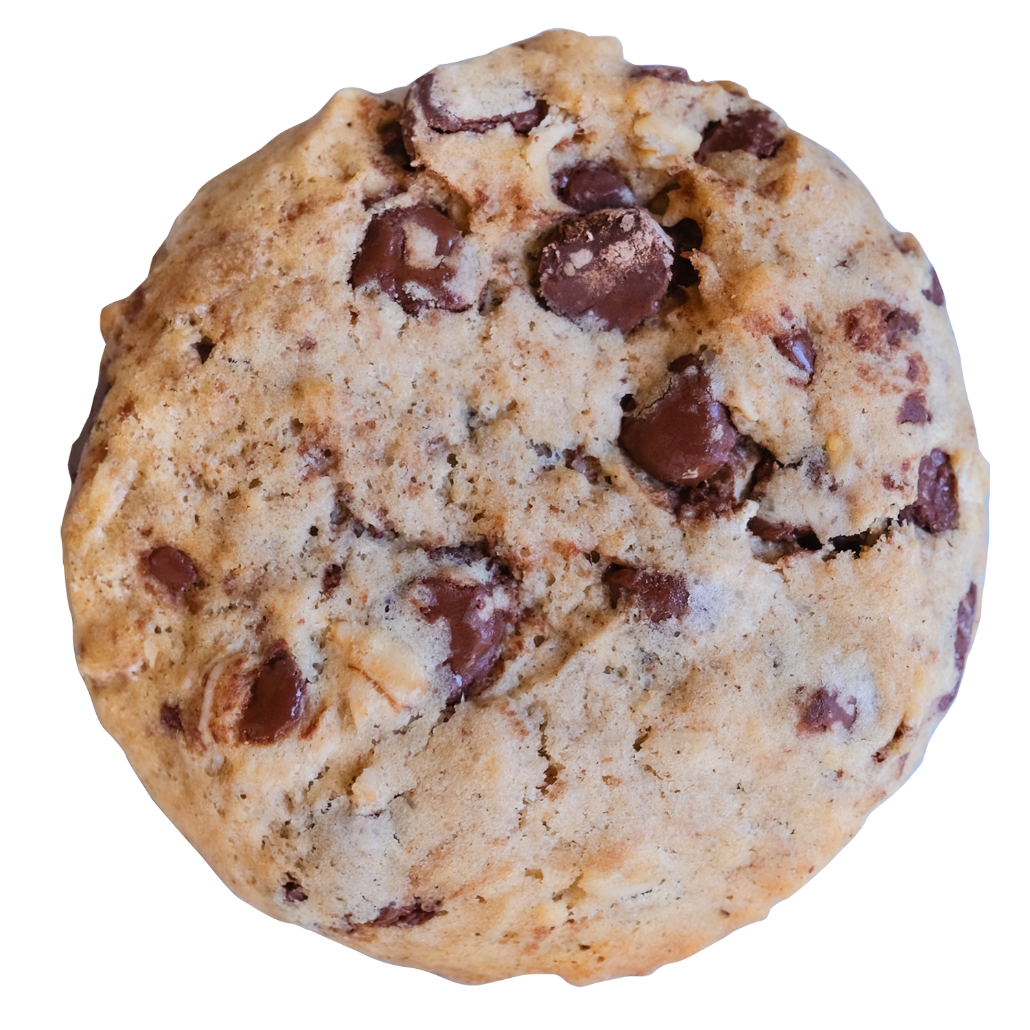 Dark Chocolate Oatmeal (Vegan)