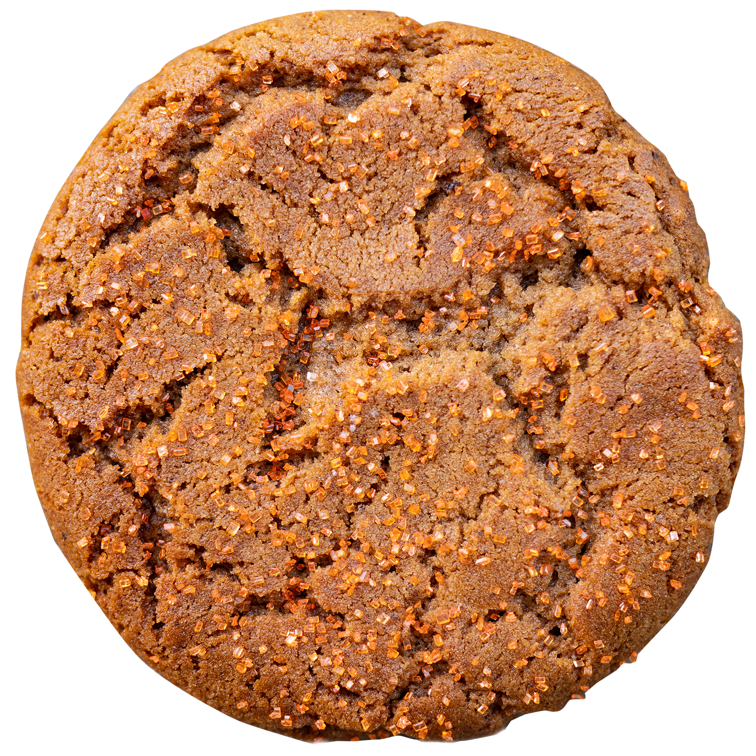 Ginger Molasses