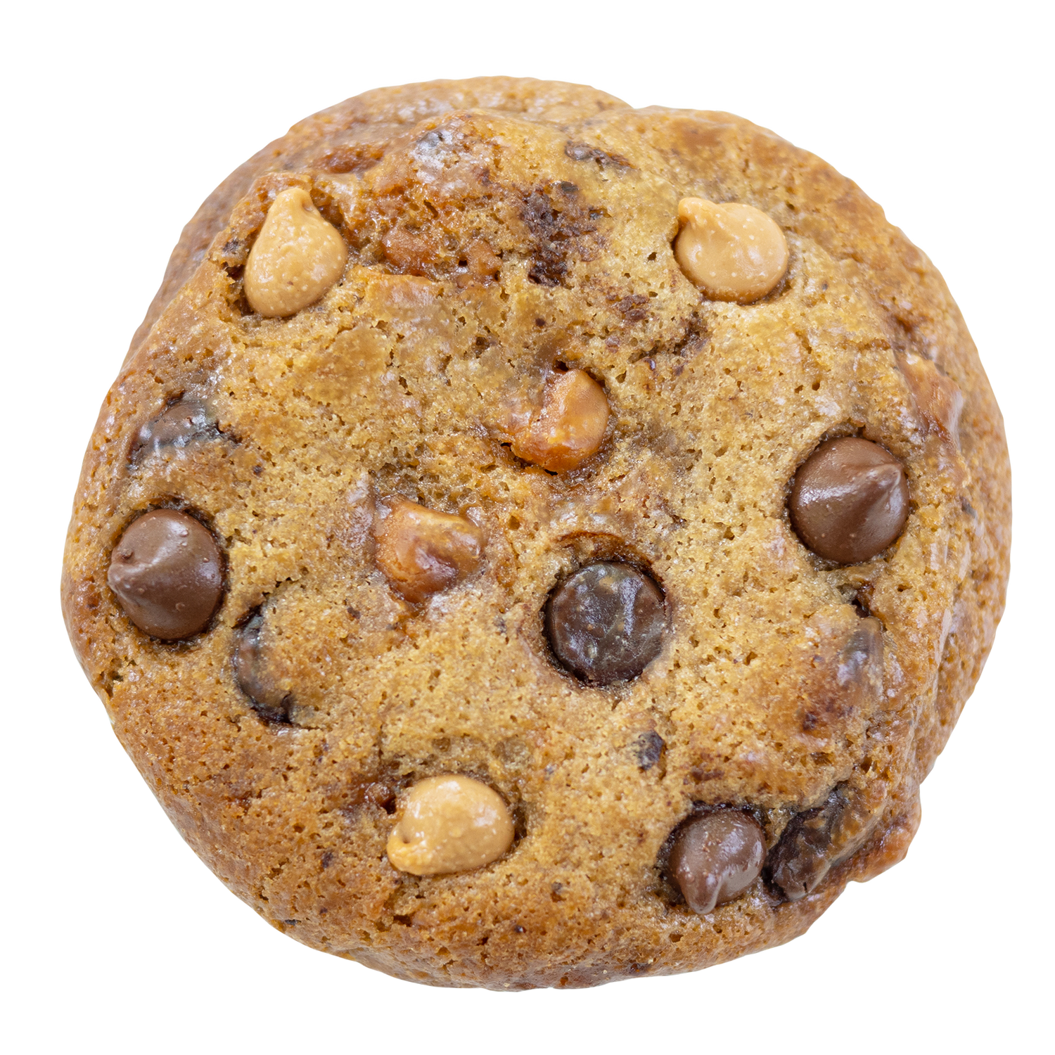 Peanut Butter Chocolate Chip