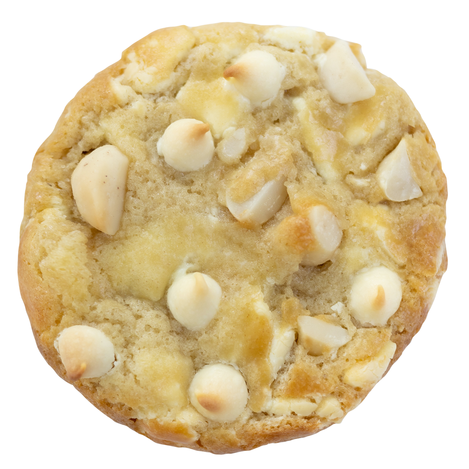 White Chocolate Macadamia Nut