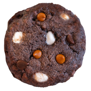 Hot Cocoa Cookie